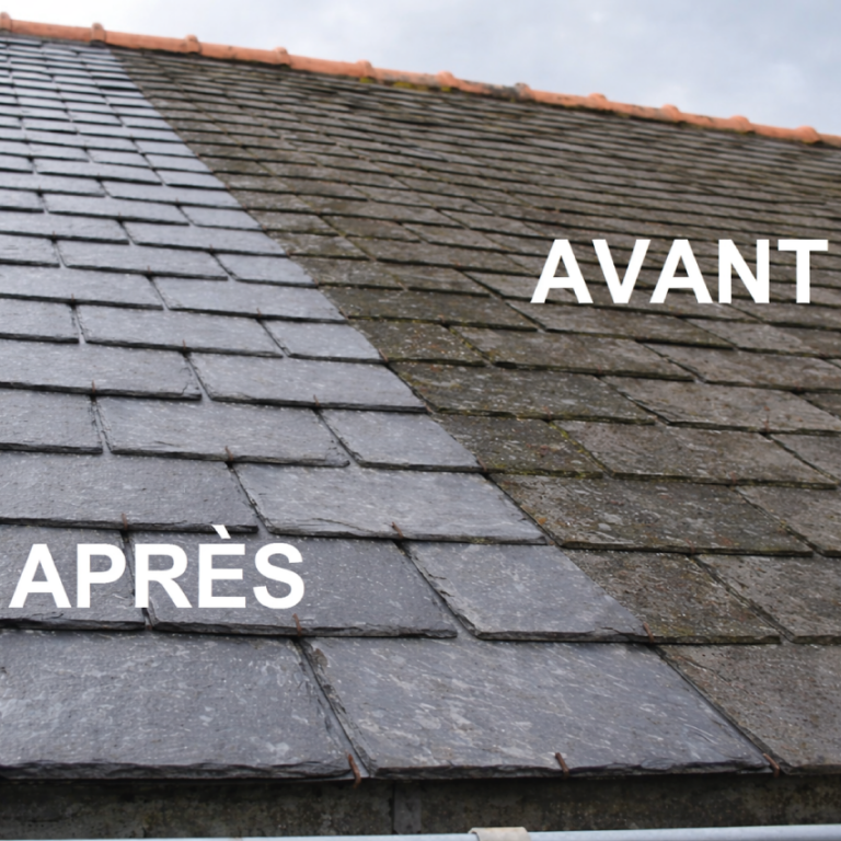 nettoyage--toitures-ruhlmann-votre-decorateur7